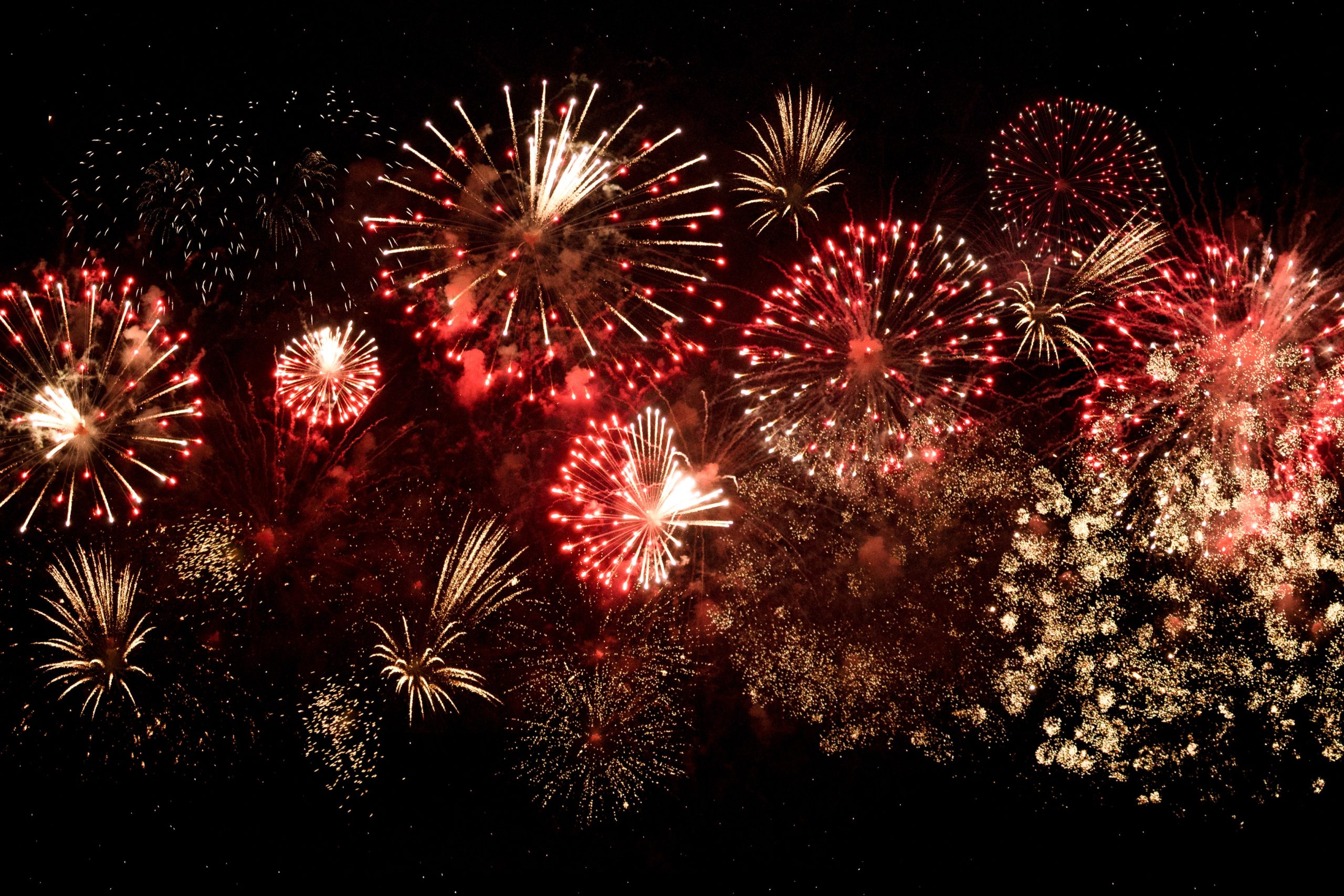 designecologist 5mj5jLhYWpY unsplash scaled 1